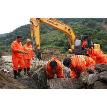 Gabion/ Gabion Basket/Heavy Hexagonal Wire Netting